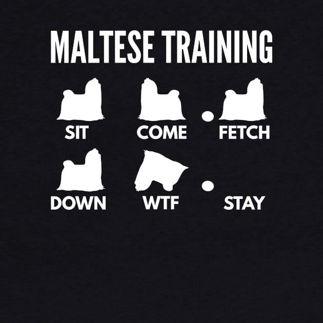 Maltese Training Maltese Dog Tricks by DoggyStyles